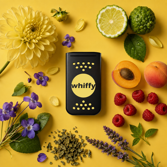 SUN WAVES - Dahlia | Bergamot | Violet | Apricot | Raspberry | Patchouli