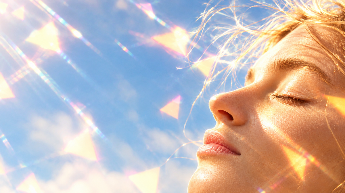 Sonnengekuesstes_Profil_im_Licht_1